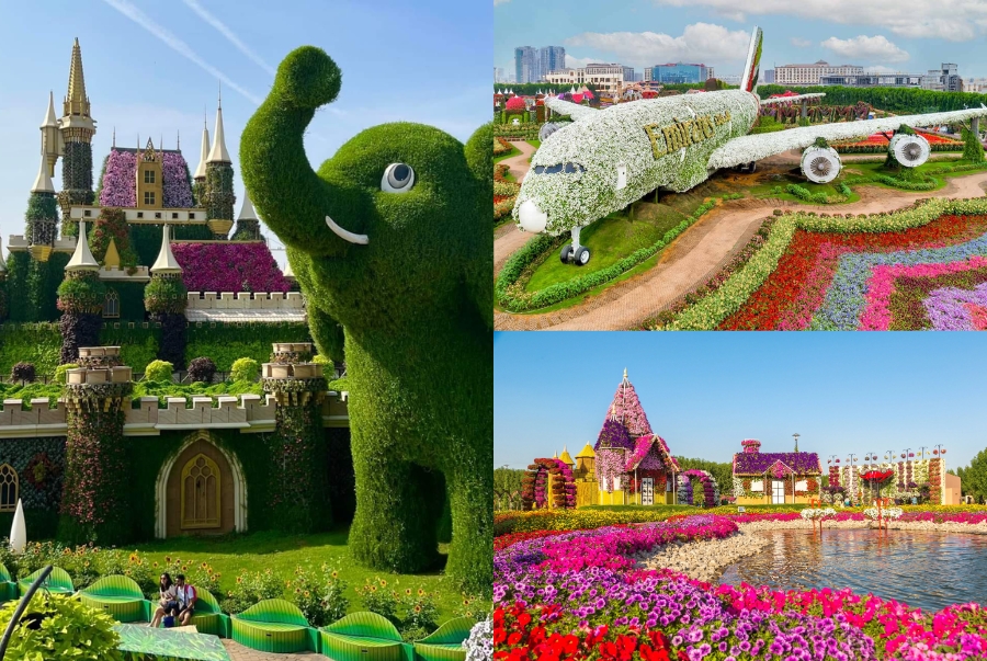 Miracle Garden là vườn hoa lớn nhất thế giới với hàng triệu bông hoa được sắp thành những mô hình độc đáo