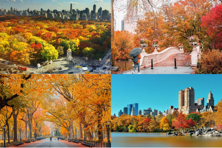 Central Park là điểm đến nổi tiếng nhất của New York vào mùa thu