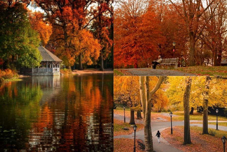 Không gian xanh mát của Prospect Park trở nên thơ mộng hơn mỗi khi thu về