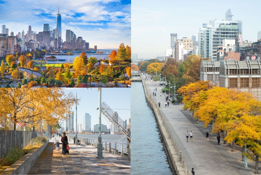 Dạo bước ở Hudson River Park bạn sẽ tận hưởng làn gió mát và sắc vàng trải dài bên dòng sông