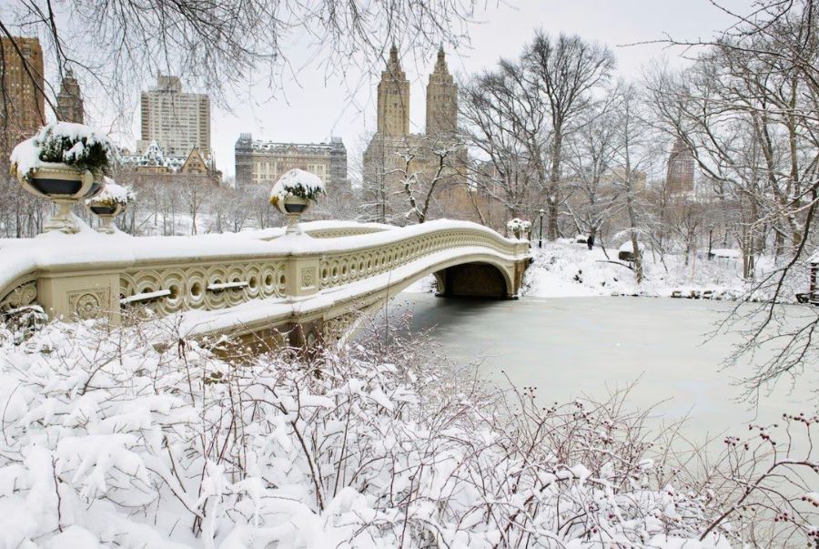 Khung cảnh toàn bộ Central Park phủ tuyết tuyệt đẹp