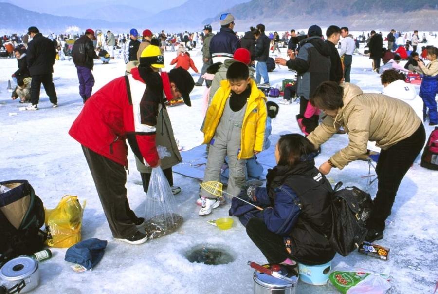 Lễ hội câu cá vào mùa đông Hàn Quốc thu hút cả người dân địa phương lẫn du khách quốc tế