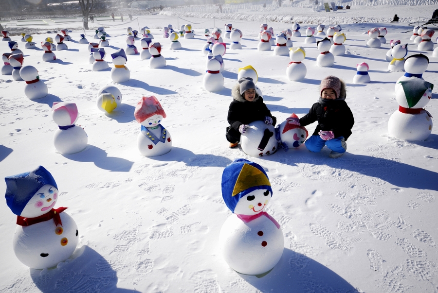 Lễ hội tuyết là nơi du khách có thể chiêm ngưỡng nhiều tác phẩm khác nhau