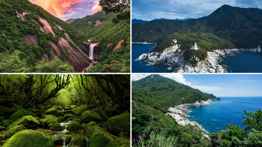 Yakushima không chỉ là một hòn đảo mà còn là một kho tàng thiên nhiên với những đặc điểm vô cùng độc đáo, thu hút du khách từ khắp nơi trên thế giới