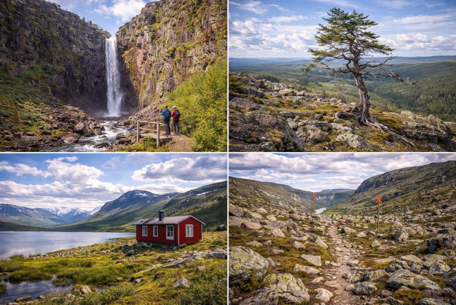 Vườn quốc gia Fulufjället là nơi du khách có thể cảm nhận rõ sự giao hòa giữa rừng già, cao nguyên và thác nước​