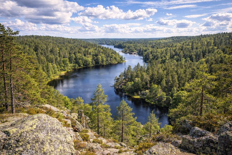  Vườn quốc gia Skuleskogen gây ấn tượng với những trải nghiệm thiên nhiên nhẹ nhàng