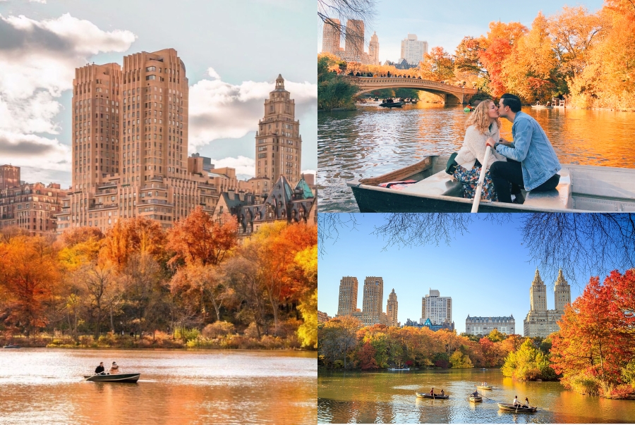 Khi đến New York vào thu du khách nhất định đừng bỏ qua hoạt động dạo thuyền