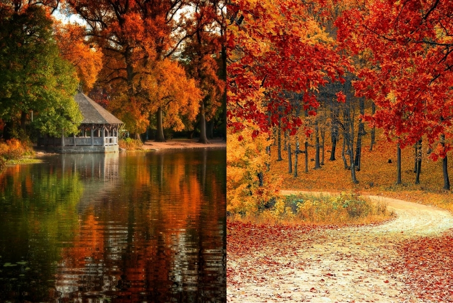 Những lối mòn phủ lá đỏ tại Prospect Park là điểm dừng chân lý tưởng cho buổi chiều thu