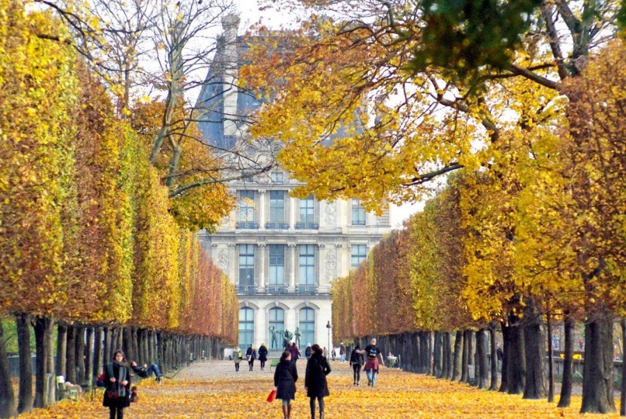 Dạo bước trên những con đường lá vàng là hoạt động yêu thích của nhiều người dân địa phương lẫn du khách