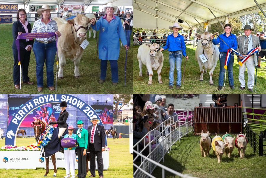 Các màn trình diễn nông nghiệp mang tính giáo dục cực kỳ cao