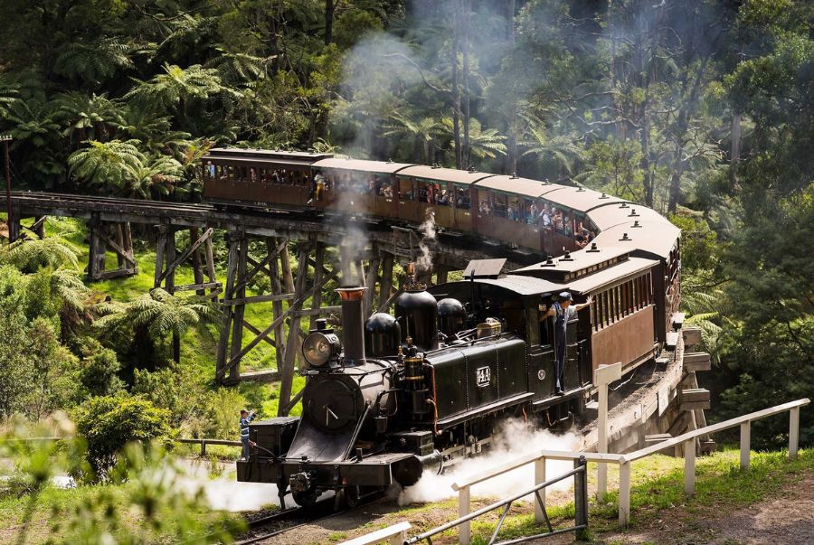 Tàu hơi nước Puffing Billy xuyên rừng Dandenong là một trong những trải nghiệm hấp dẫn nhất nước Úc vào mùa xuân