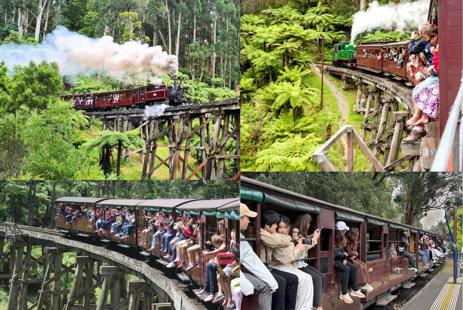 Trải nghiệm thiết kế đặc biệt của các toa tàu, giúp du khách có thể dễ dàng ngắm cảnh