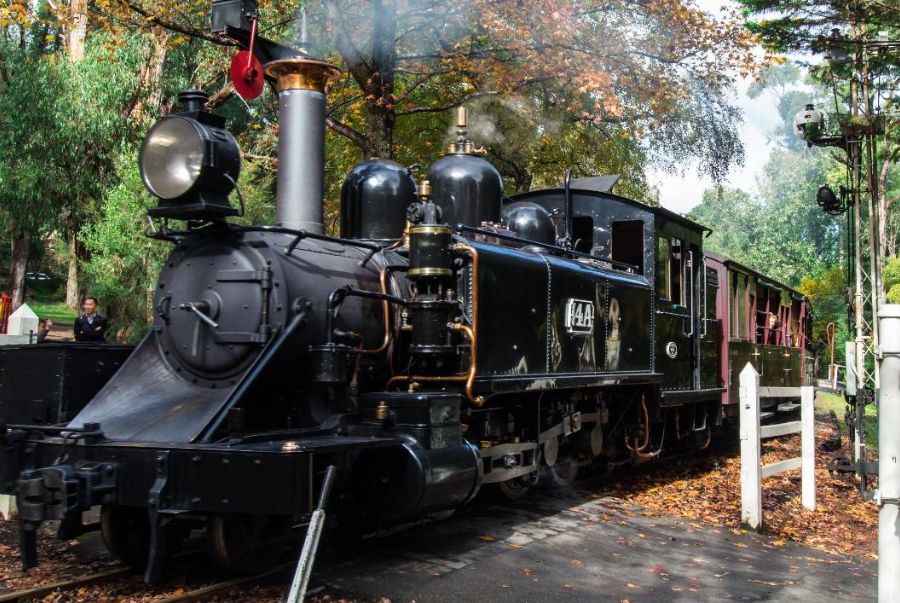 Phần đầu đặc trưng của những chiếc tàu hơi nước Puffing Billy