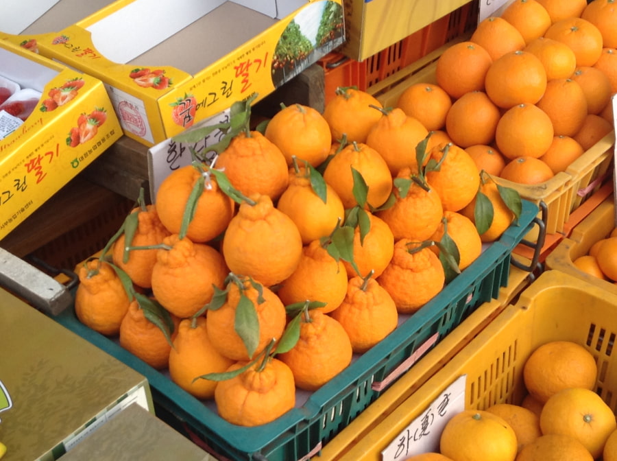 Chợ truyền thống Dongmun chính là một trong những địa điểm lý tưởng nhất để bạn tìm thấy những trái quýt tươi ngon