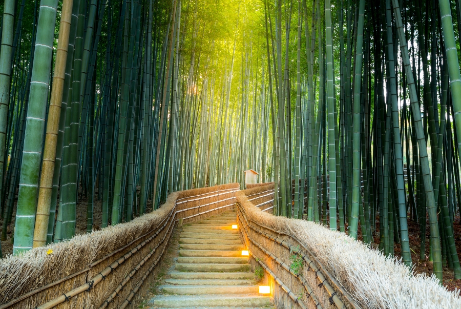 Rừng tre Arashiyama là một rừng tre tự nhiên ở Arashiyam tại Kyoto