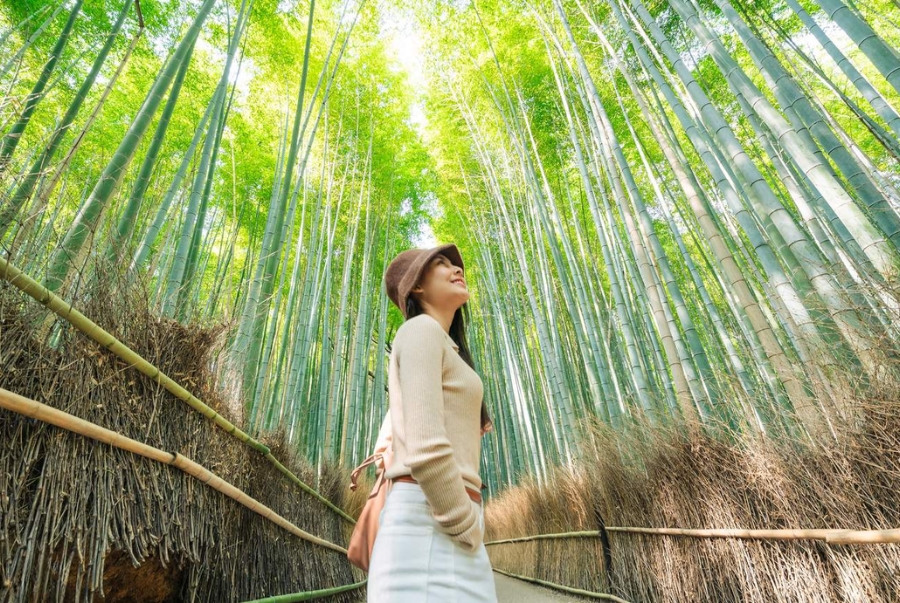 Khách đến tham quan rất thích dạo bộ giữa rừng tre xanh mát