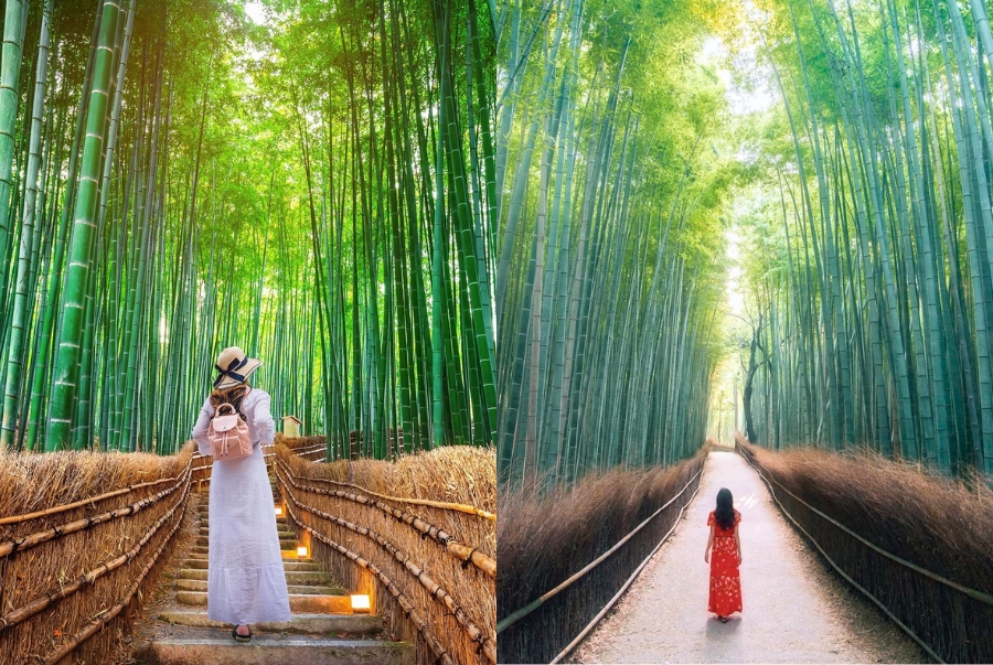 Du khách nên lựa chọn những đôi giày đế thấp để thuận tiện di chuyển