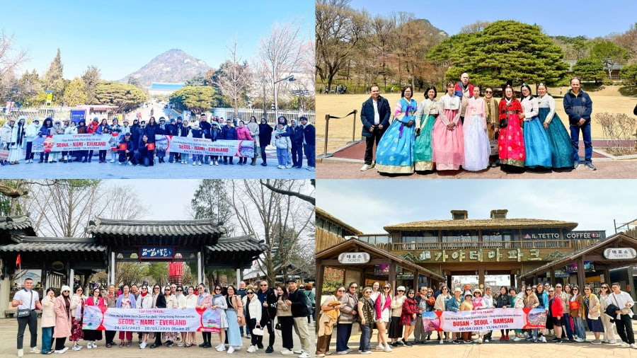 Những vị khách đã tin tưởng lựa chọn các tour du lịch Hàn Quốc đến với Seoul xinh đẹp tại nhà Top Ten Travel