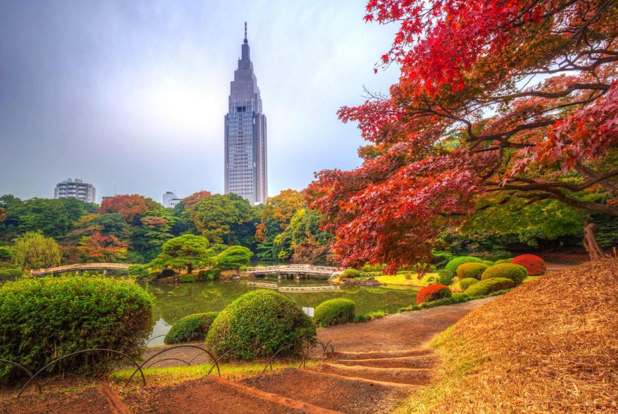 Công viên Shinjuku Gyoen nổi bật giữa lòng Tokyo như một thiên đường mùa thu