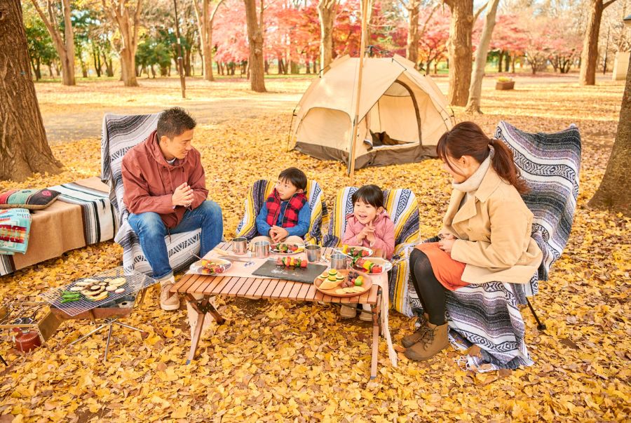 Trải nghiệm picnic vô cùng hấp dẫn tại Shinjuku Gyoen vào mùa thu