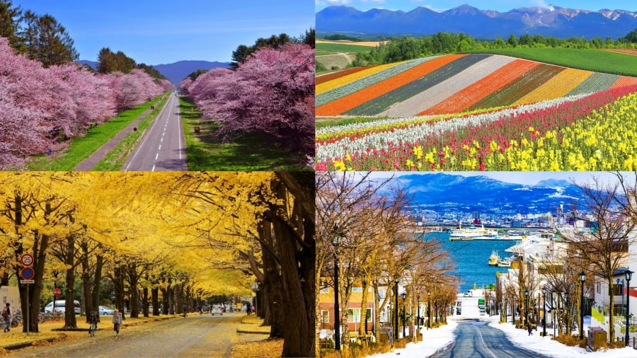 Hokkaido có bốn mùa rõ rệt, mỗi mùa mang một vẻ đẹp riêng