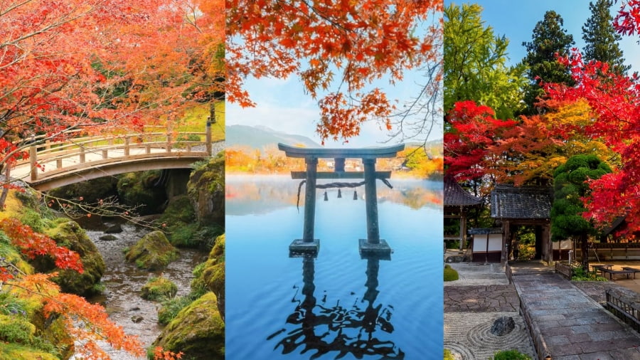 Hakone là một lựa chọn hoàn hảo để kết hợp giữa thư giãn tại suối nước nóng và ngắm cảnh mùa thu Nhật Bản