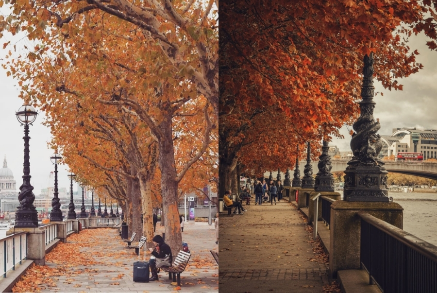 Ven sông Thames mùa thu là nơi lý tưởng để dạo phố thư giãn