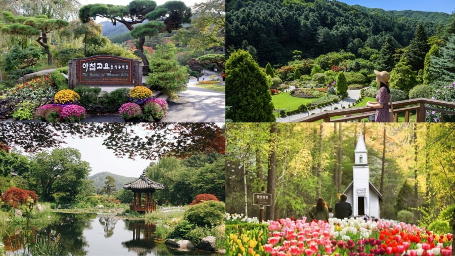 Vườn Morning Calm là một trong những địa điểm du lịch Hàn Quốc cho gia đình hoàn hảo vào mùa hè, mang đến một không gian xanh mát và yên bình