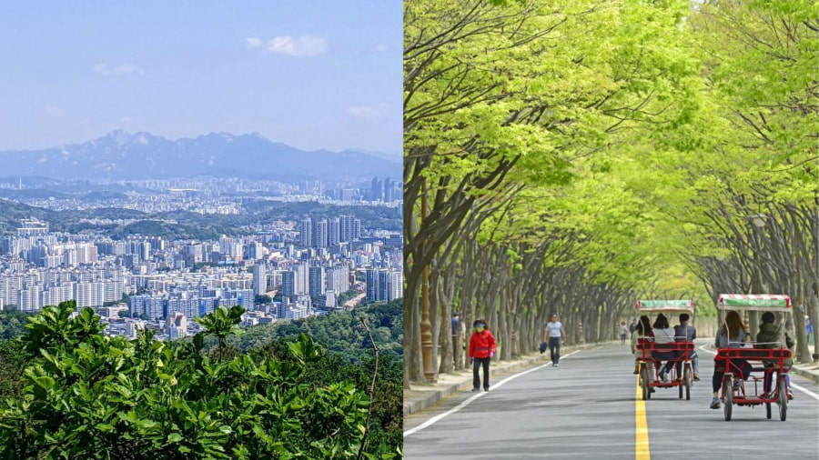 Công viên Trung tâm Incheon là một ốc đảo xanh rộng lớn và thanh bình, mang đến không gian nghỉ ngơi lý tưởng cho cả gia đình