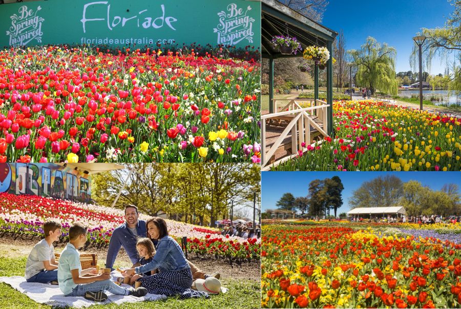 Floriade không chỉ là một lễ hội hoa đơn thuần mà còn là niềm tự hào văn hóa của thủ đô Canberra và nước Úc