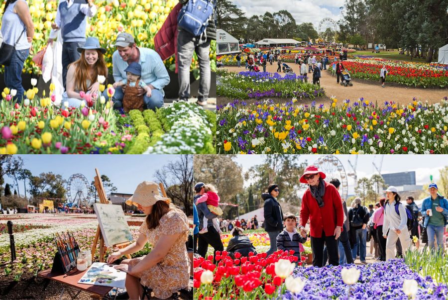 Các hoạt động đặc sắc tại Lễ hội hoa Floriade Canberra