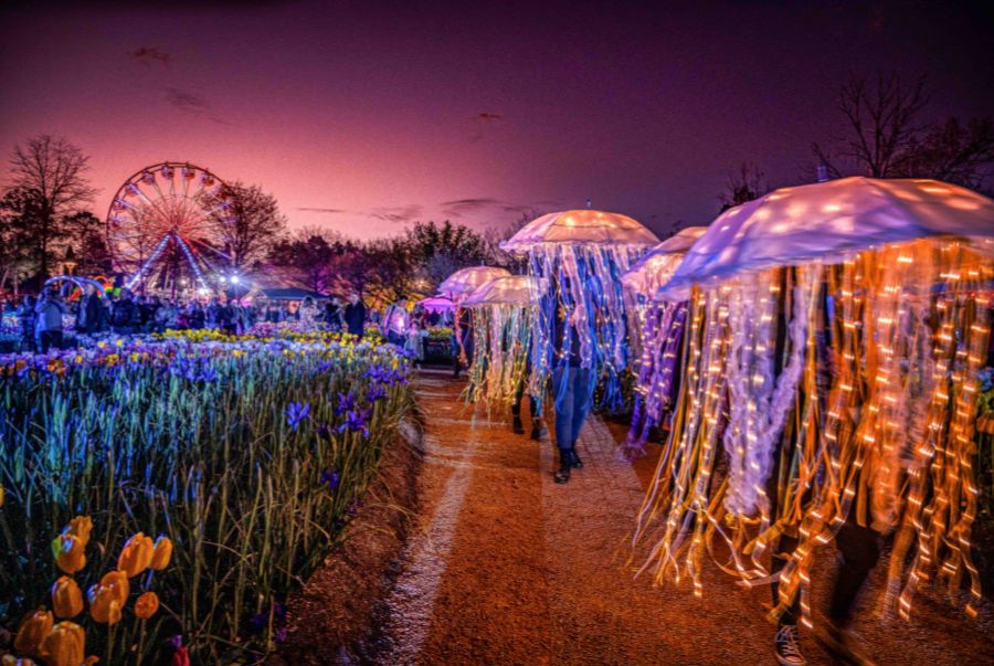 Điểm nhấn đặc biệt của Floriade chính là Floriade NightFest