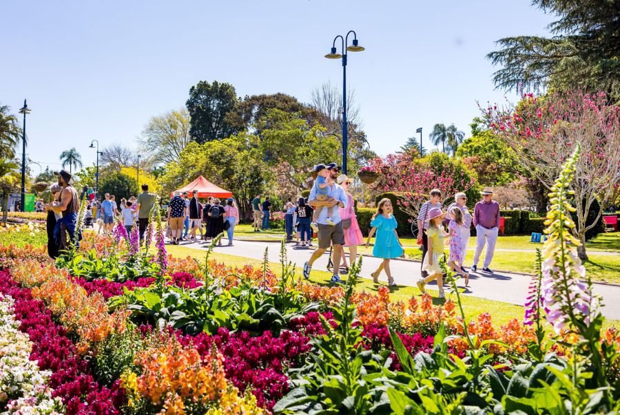 Có rất đông du khách từ khắp nơi trên thế giới đổ về tham quan và khám phá lễ hội