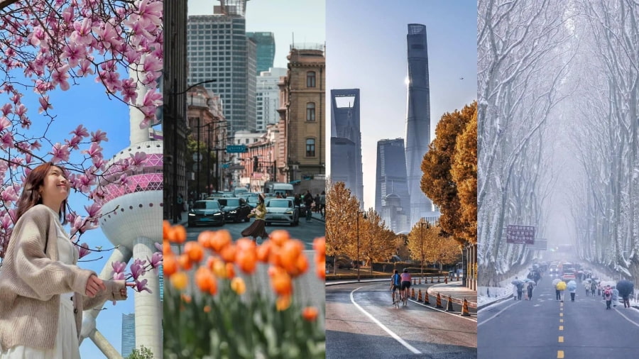 Thượng Hải có bốn mùa rõ rệt, mỗi mùa mang một vẻ đẹp riêng