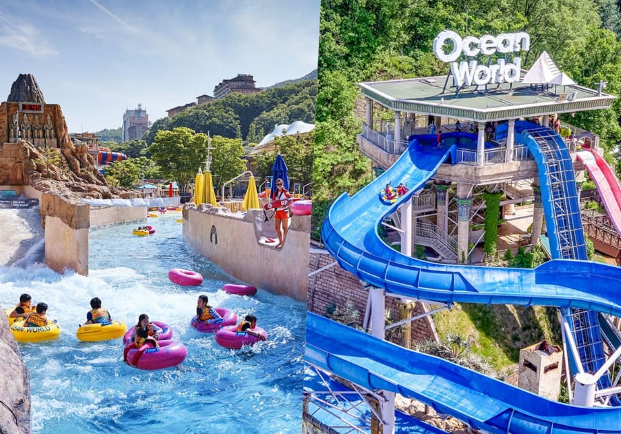 Nếu bạn đang tìm kiếm một địa điểm lý tưởng để 'giải nhiệt' thì Ocean World chính là cái tên không thể bỏ qua