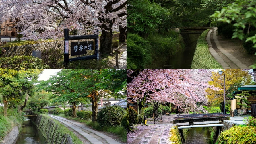 Đường Philosopher's Path là một lối đi tĩnh tại bên kênh nước ở phía đông Kyoto, mang đến những khoảnh khắc bình yên và chiêm nghiệm