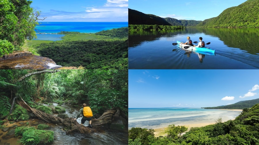 Nếu bạn đang tìm kiếm một cuộc phiêu lưu hoang dã thì Đảo Iriomote là một địa điểm du lịch Okinawa không thể bỏ qua