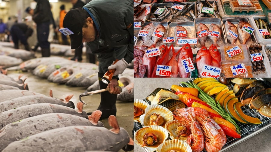 Chợ cá Toyosu không chỉ là một khu chợ sầm uất mà còn là một địa điểm du lịch Tokyo hấp dẫn cho những ai muốn khám phá ẩm thực Nhật Bản