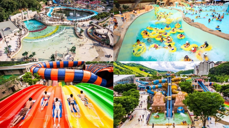 Vivaldi Park Ocean World hứa hẹn mang đến những kỷ niệm khó quên cho chuyến du lịch Hàn Quốc của bạn trong mùa hè này
