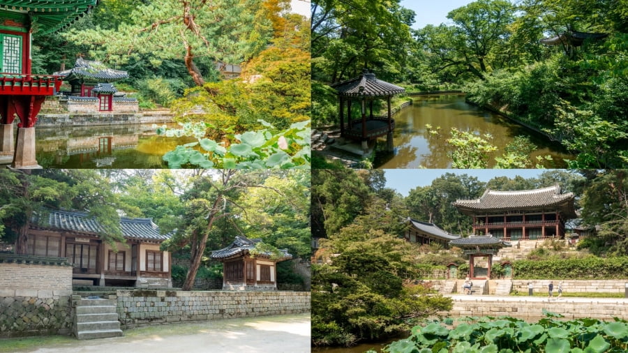 Vườn Bí Mật (Huwon) là một kiệt tác của nghệ thuật làm vườn truyền thống và là viên ngọc quý của cung điện Changdeokgung