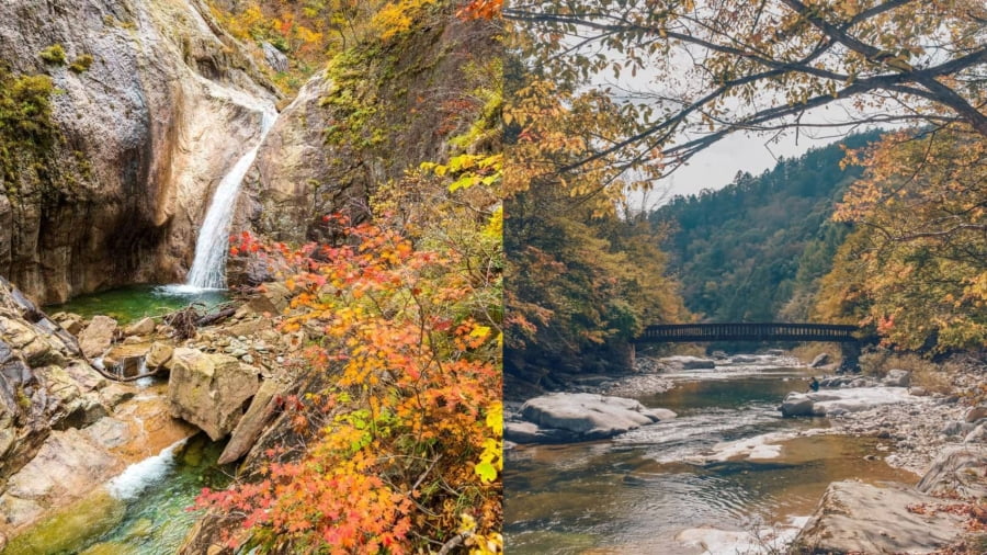 Vườn Quốc gia Odaesan cũng là một trong những địa điểm ngắm lá vàng Hàn Quốc sớm nổi tiếng