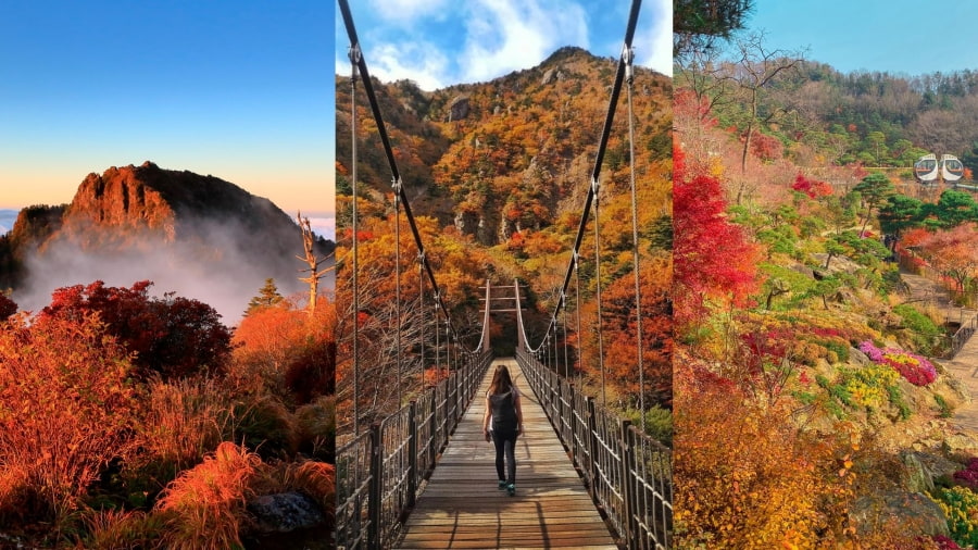 Núi Jirisan là ngọn núi lớn thứ hai của đất nước và là một trong những địa điểm ngắm lá vàng Hàn Quốc không thể bỏ qua