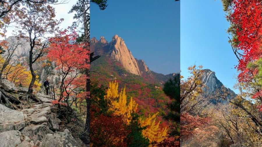 Vườn Quốc gia Bukhansan là một địa điểm ngắm lá vàng Hàn Quốc lý tưởng dành cho bạn