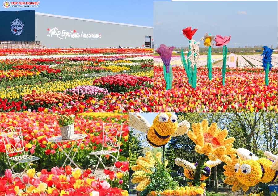 Khung cảnh rực rỡ của Châu Âu mỗi khi mùa xuân gõ cửa