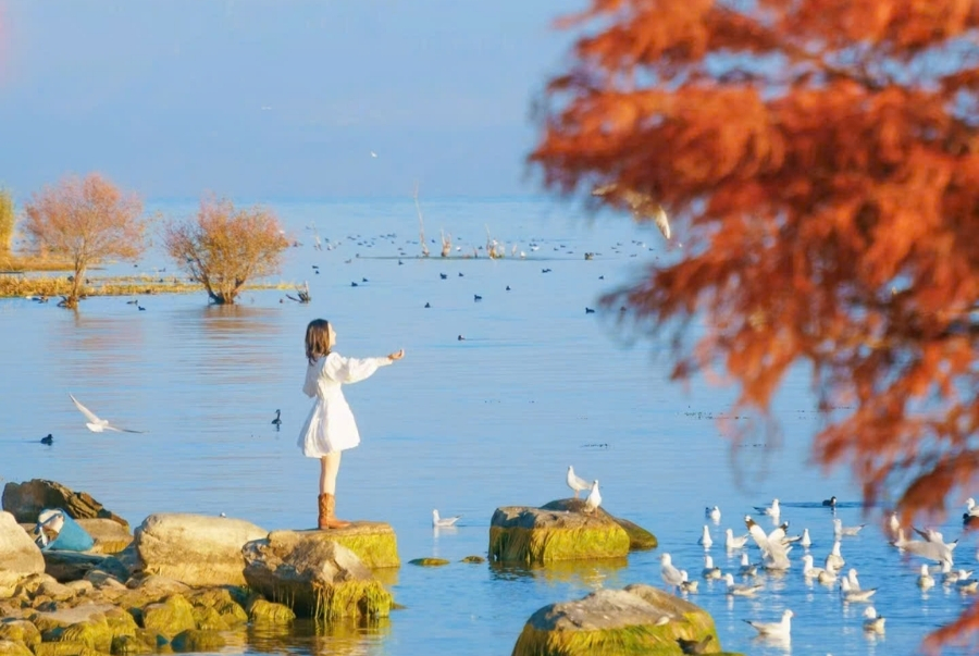 Hồ Nhĩ Hải vào mùa thu là điểm check-in lãng mạn với cảnh sắc trời thu trong vắt
