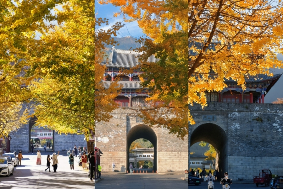 Lạc bước ở Đại Lý Cổ Thành mùa thu khi nắng vàng phủ kín cổng thành xưa cũ