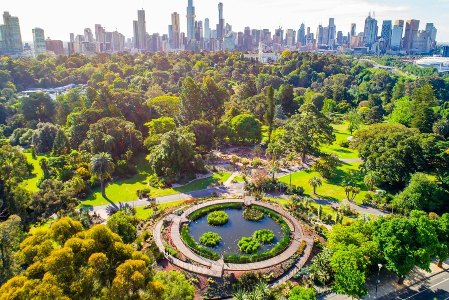 Royal Botanic Garden là khu vườn thực vật rộng lớn quy tụ nhiều loài cây quý hiếm