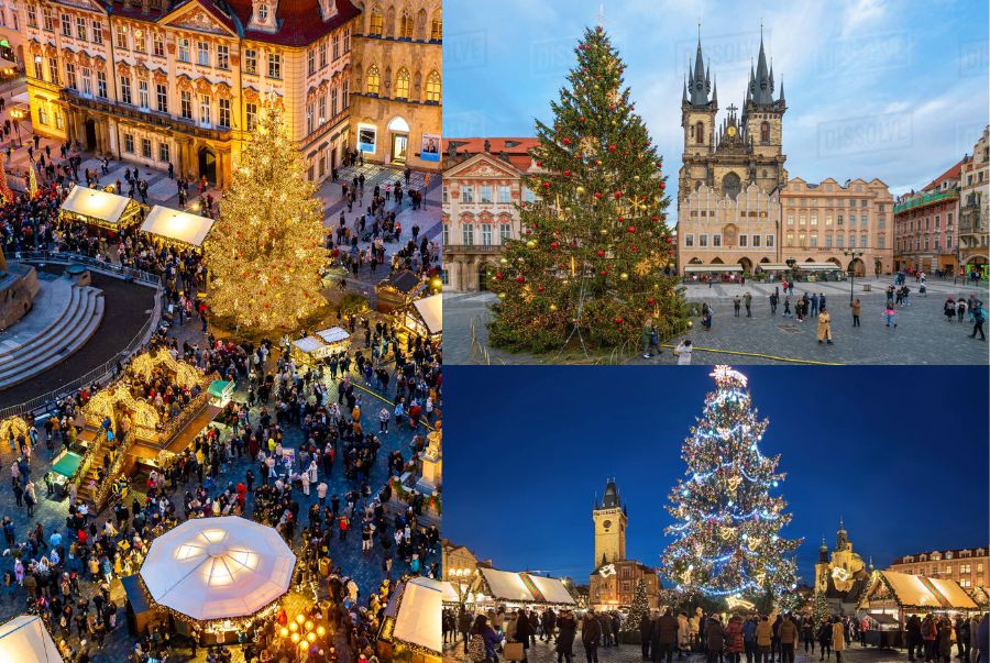 Cây thông Giáng sinh tại Quảng trường Old Town là biểu tượng nổi bật của Prague khiến ai cũng yêu thích