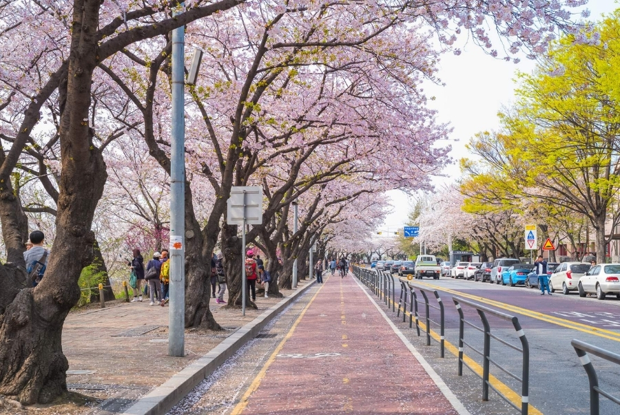 Dạo bước dưới khung cảnh thơ mộng luôn được du khách yêu thích