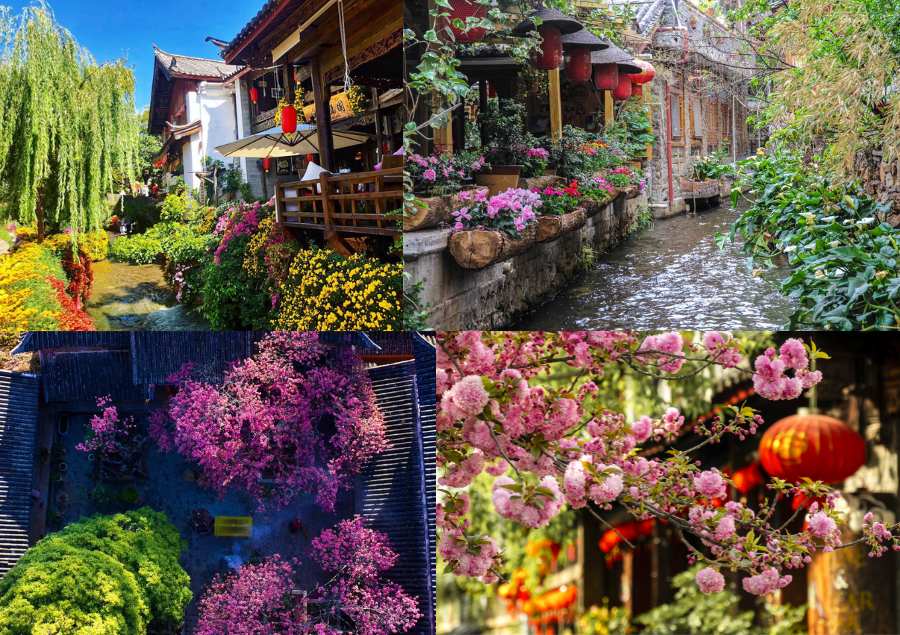 Khung cảnh rực rỡ của Lệ Giang mỗi khi mua xuân gõ cửa